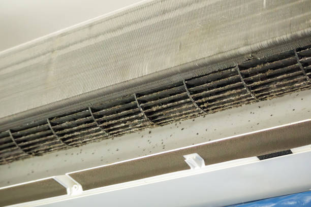 Best Air Duct Inspection  in Carnesville, GA